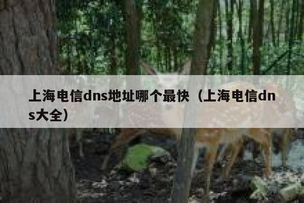 上海电信dns地址哪个最快（上海电信dns大全） 第1张