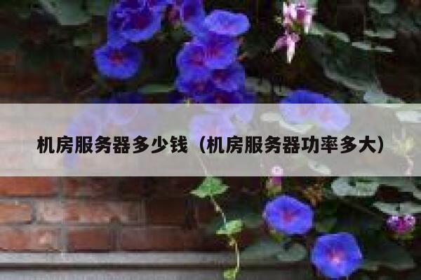 机房服务器多少钱（机房服务器功率多大） 第1张
