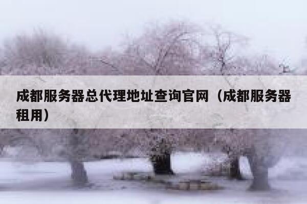 成都服务器总代理地址查询官网（成都服务器租用） 第1张