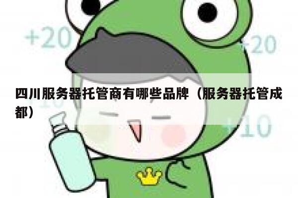 四川服务器托管商有哪些品牌（服务器托管成都） 第1张