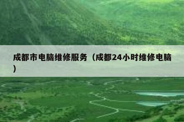 成都市电脑维修服务（成都24小时维修电脑） 第1张