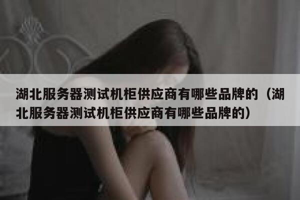 湖北服务器测试机柜供应商有哪些品牌的（湖北服务器测试机柜供应商有哪些品牌的） 第1张