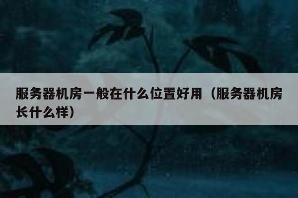 服务器机房一般在什么位置好用（服务器机房长什么样） 第1张