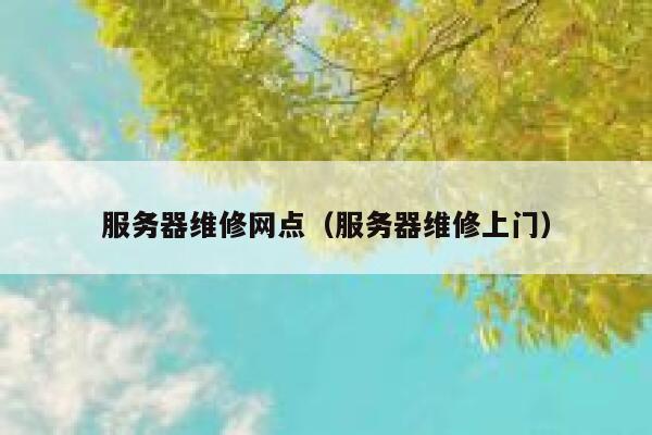 服务器维修网点(服务器维修上门) 第1张 服务器维修网点(服务器维修上门) 第1张