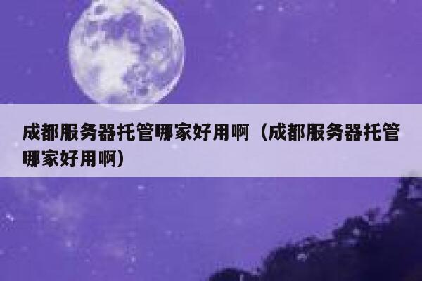 成都服务器托管哪家好用啊(成都服务器托管哪家好用啊) 第1张 成都服务器托管哪家好用啊(成都服务器托管哪家好用啊) 第1张