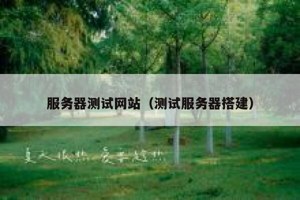 服务器测试网站（测试服务器搭建） 第1张