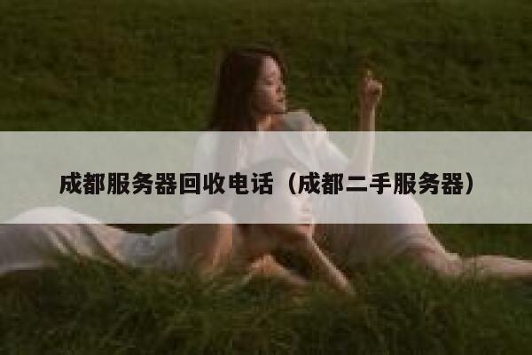 成都服务器回收电话（成都二手服务器） 第1张