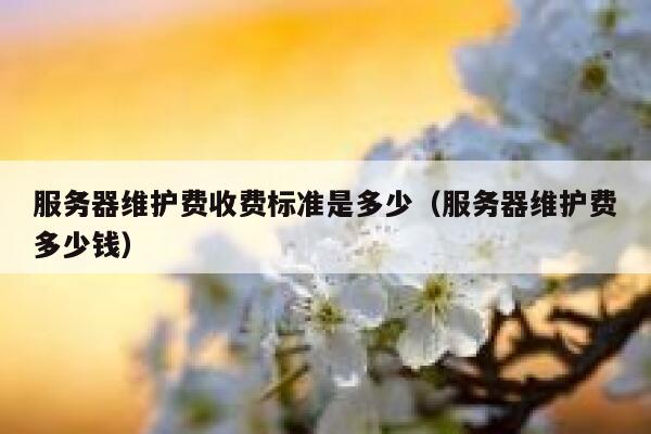 服务器维护费收费标准是多少(服务器维护费多少钱) 第1张 服务器维护费收费标准是多少(服务器维护费多少钱) 第1张