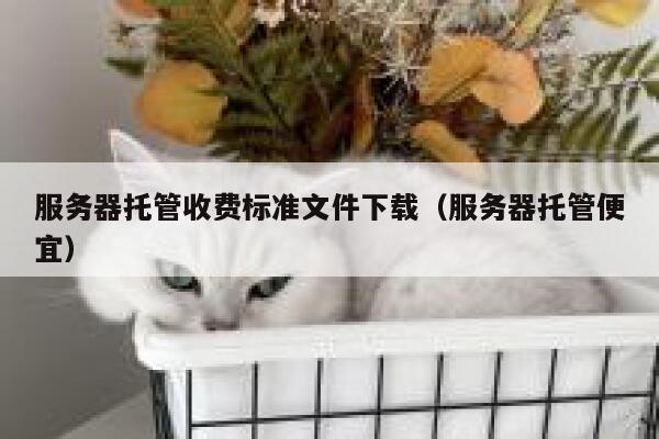 服务器托管收费标准文件下载（服务器托管便宜） 第1张