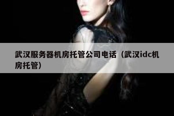 武汉服务器机房托管公司电话（武汉idc机房托管） 第1张