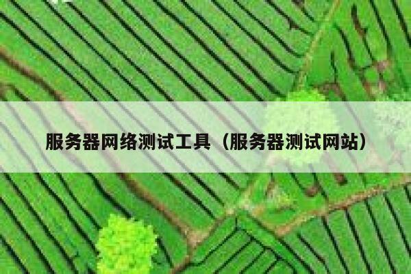 服务器网络测试工具（服务器测试网站） 第1张