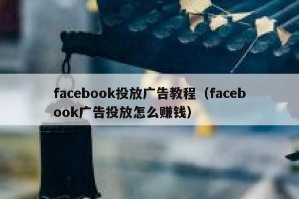 facebook投放广告教程（facebook广告投放怎么赚钱） 第1张