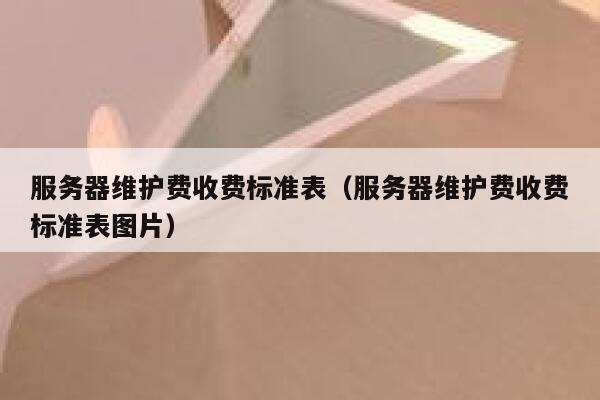 服务器维护费收费标准表（服务器维护费收费标准表图片） 第1张