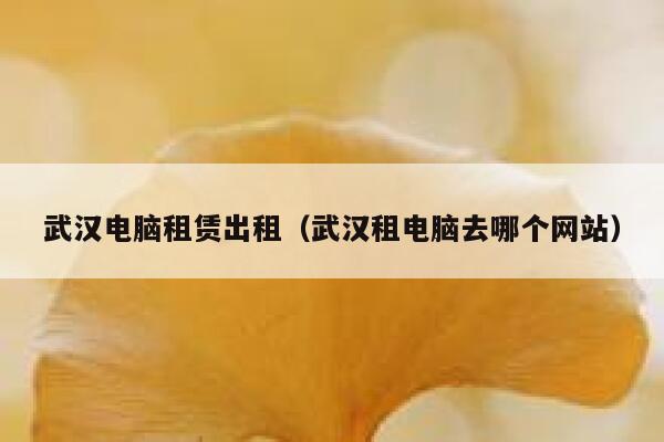 武汉电脑租赁出租（武汉租电脑去哪个网站） 第1张