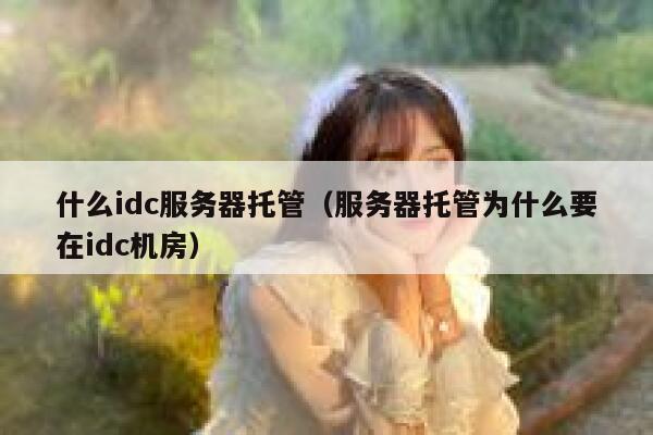 什么idc服务器托管（服务器托管为什么要在idc机房） 第1张