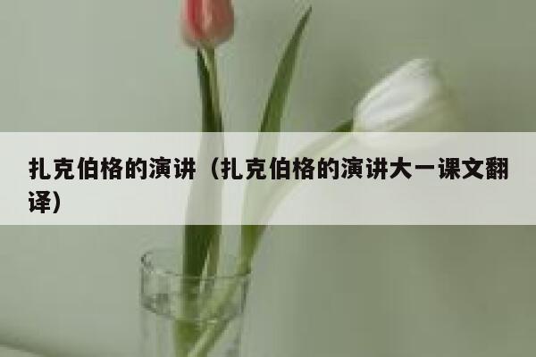 扎克伯格的演讲（扎克伯格的演讲大一课文翻译） 第1张