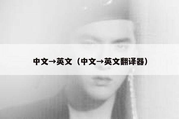 中文→英文(中文→英文翻译器) 第1张 中文→英文(中文→英文翻译器) 第1张