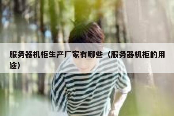 服务器机柜生产厂家有哪些（服务器机柜的用途） 第1张