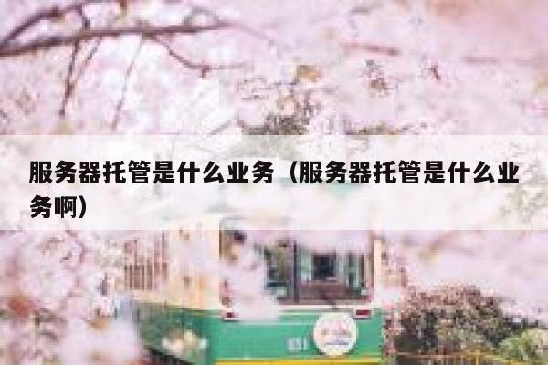 服务器托管是什么业务（服务器托管是什么业务啊） 第1张