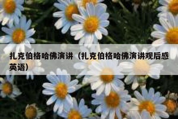 扎克伯格哈佛演讲(扎克伯格哈佛演讲观后感英语) 第1张 扎克伯格哈佛演讲(扎克伯格哈佛演讲观后感英语) 第1张