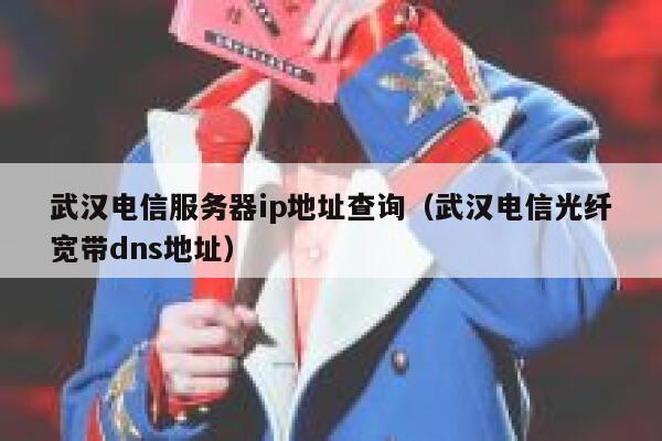 武汉电信服务器ip地址查询(武汉电信光纤宽带dns地址) 第1张 武汉电信服务器ip地址查询(武汉电信光纤宽带dns地址) 第1张