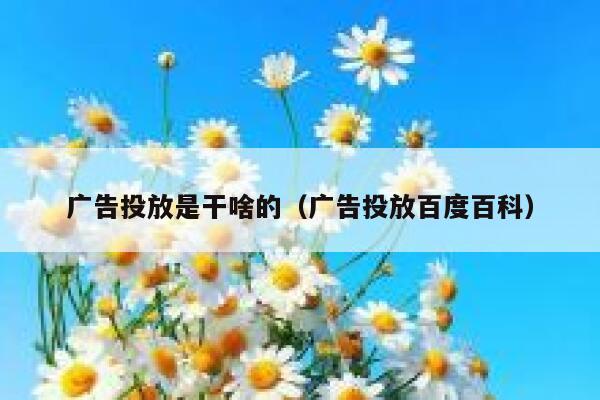 广告投放是干啥的(广告投放百度百科) 第1张 广告投放是干啥的(广告投放百度百科) 第1张