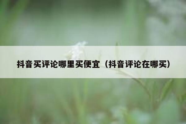抖音买评论哪里买便宜(抖音评论在哪买) 第1张 抖音买评论哪里买便宜(抖音评论在哪买) 第1张