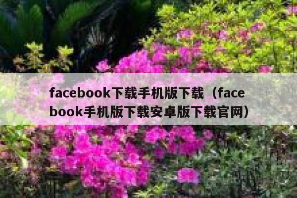 facebook下载手机版下载（facebook手机版下载安卓版下载官网） 第1张
