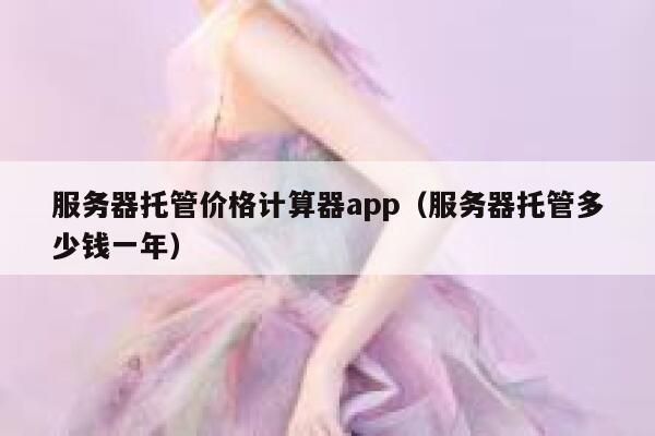 服务器托管价格计算器app（服务器托管多少钱一年） 第1张