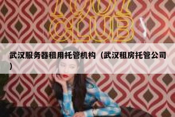 武汉服务器租用托管机构（武汉租房托管公司） 第1张
