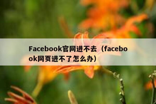 Facebook官网进不去（facebook网页进不了怎么办） 第1张