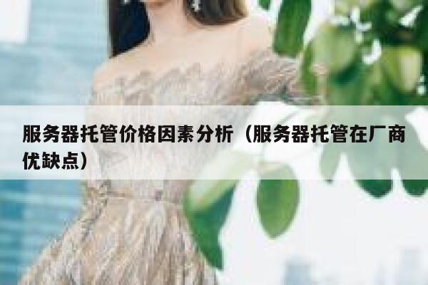 服务器托管价格因素分析(服务器托管在厂商优缺点) 第1张 服务器托管价格因素分析(服务器托管在厂商优缺点) 第1张