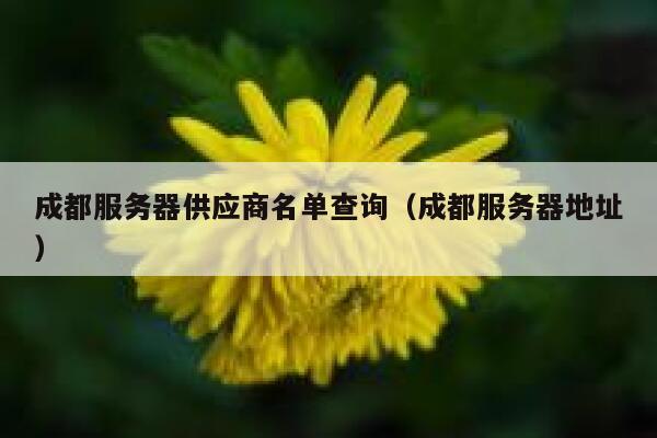 成都服务器供应商名单查询（成都服务器地址） 第1张