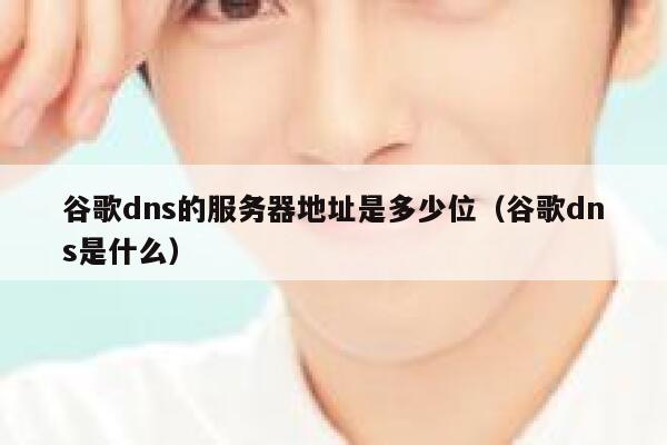 谷歌dns的服务器地址是多少位(谷歌dns是什么) 第1张 谷歌dns的服务器地址是多少位(谷歌dns是什么) 第1张
