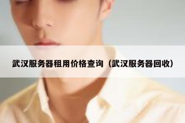 武汉服务器租用价格查询（武汉服务器回收） 第1张
