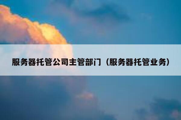 服务器托管公司主管部门(服务器托管业务) 第1张 服务器托管公司主管部门(服务器托管业务) 第1张