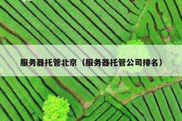 服务器托管北京（服务器托管公司排名） 第1张