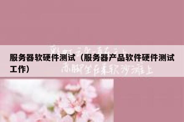 服务器软硬件测试（服务器产品软件硬件测试工作） 第1张