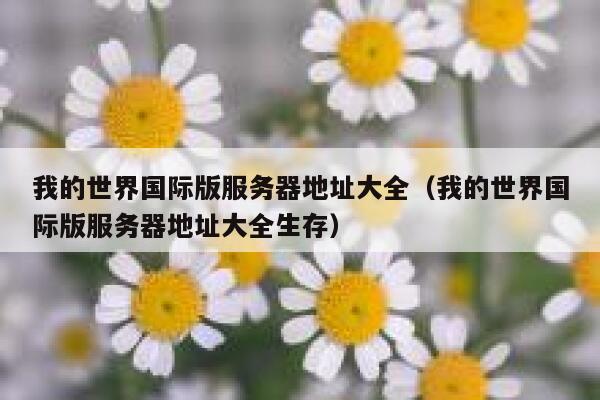 我的世界国际版服务器地址大全(我的世界国际版服务器地址大全生存) 第1张 我的世界国际版服务器地址大全(我的世界国际版服务器地址大全生存) 第1张