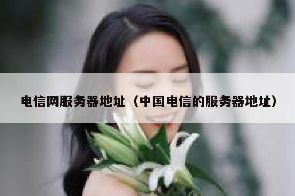 电信网服务器地址(中国电信的服务器地址) 第1张 电信网服务器地址(中国电信的服务器地址) 第1张