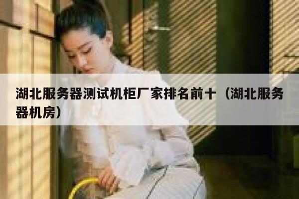 湖北服务器测试机柜厂家排名前十(湖北服务器机房) 第1张 湖北服务器测试机柜厂家排名前十(湖北服务器机房) 第1张