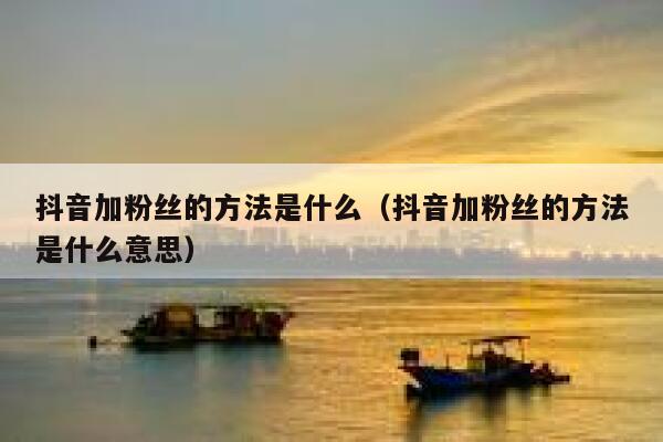 抖音加粉丝的方法是什么（抖音加粉丝的方法是什么意思） 第1张