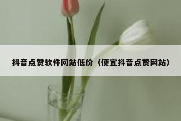 抖音点赞软件网站低价（便宜抖音点赞网站） 第1张