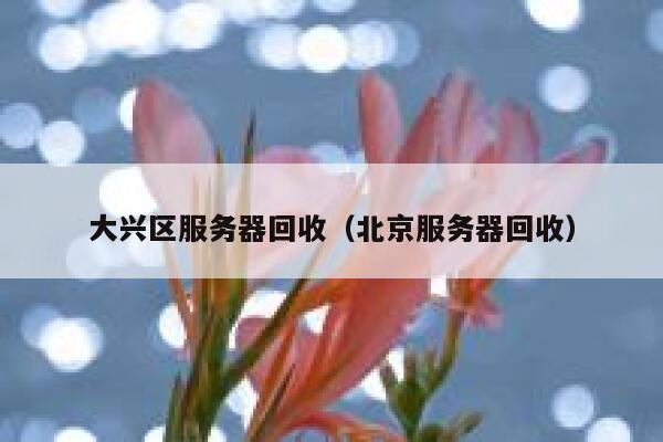 大兴区服务器回收(北京服务器回收) 第1张 大兴区服务器回收(北京服务器回收) 第1张
