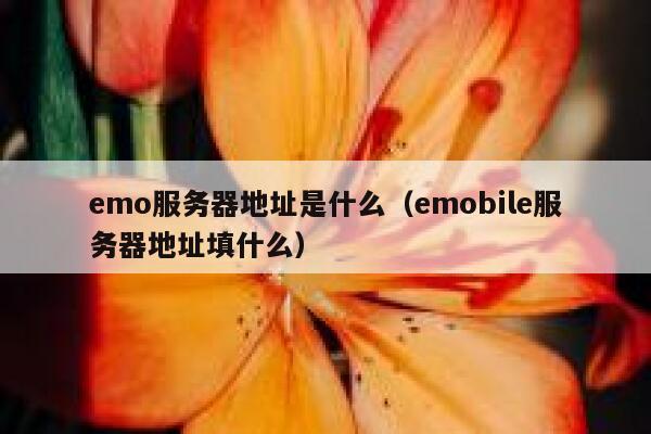 emo服务器地址是什么（emobile服务器地址填什么） 第1张