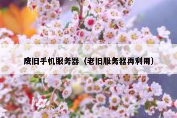 废旧手机服务器（老旧服务器再利用） 第1张