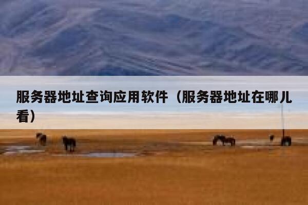 服务器地址查询应用软件（服务器地址在哪儿看） 第1张