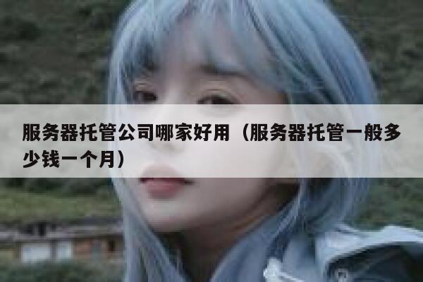 服务器托管公司哪家好用（服务器托管一般多少钱一个月） 第1张