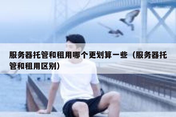 服务器托管和租用哪个更划算一些（服务器托管和租用区别） 第1张