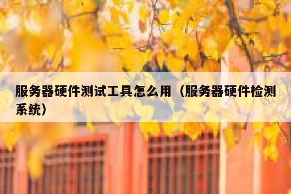 服务器硬件测试工具怎么用（服务器硬件检测系统） 第1张